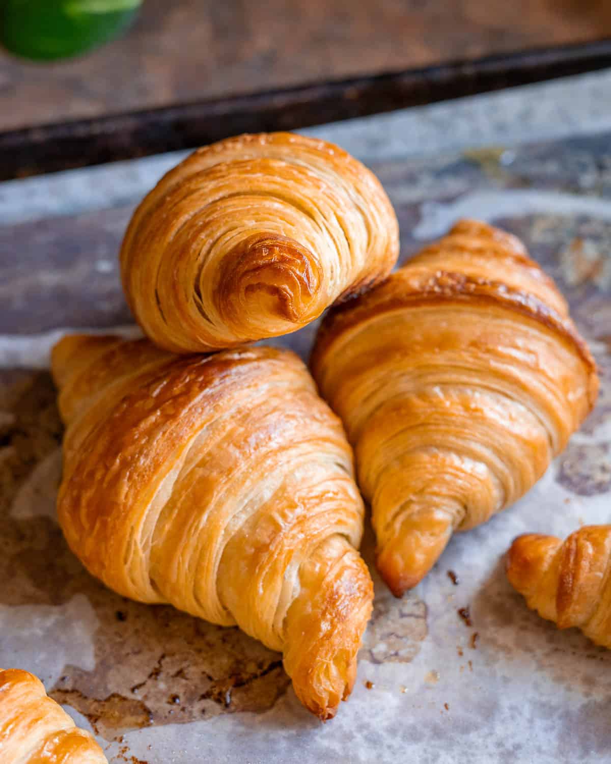 بريوش عادي